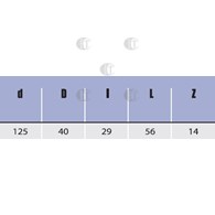 FREZ NASADZANY FI 125,0  56 Z14 d40 HSS