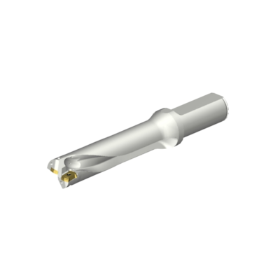 WIERTLO DS20-D2500L25-04