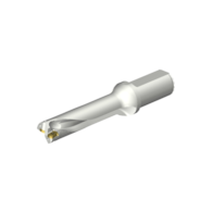 WIERTLO DS20-D2600L32-04