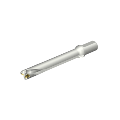 WIERTLO DS20-D3000L32-07