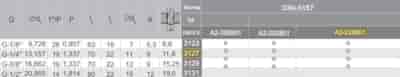 GWINTOWNIK G  1/4  NGRA/2-P DIN-5157 (-X) HSSE INOX